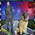 Police Dog Ben Crime Chase