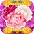 Flowers Stickers Free