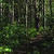 Nature Live Wallpaper 132