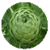 Benefits of Artichoke