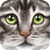 Ultimate Cat Simulator