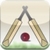 Swing Cricket 2
