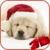 Christmas Puppy Licks Screen Live Wallpaper