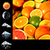 Citrus Fruit Weather Clock
