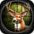 Animal Hunter 3D