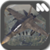 Aircraft Forces Squadron