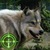 Escape Forest Wild Hunter