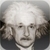 Albert Einstein Daily Quotes