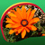 Wildflowers Live Wallpapers