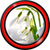 Snowdrops Live Wallpapers