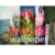 Images of nature high quality and clarity 4K