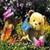Lovely Bears Live Wallpaper