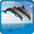 Dolphin Live Wallpapers New