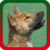 New Dog Singing Ringtones