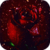 Rose Raining Live Wallpaper