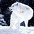 Snowy White Wolf Live Wallpaper