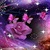 PURPLE ROSE BUTTERFLY LWP