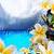 Desert Island Paradise LiweWP
