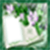 Book photo frame