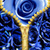 Blue Rose Zipper Lock Screen