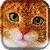 Fluffy Kitten Live Wallpaper
