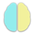 braincards flashcards