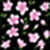 Pink flowers wallpaper  pics