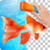 Tijery Remove Background Photo Editor
