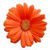Free Wallpaper Flower v1