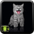 Free Cat Wallpaper