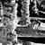 Snow Statues Live Wallpaper