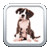 Name That Dog Breed Trivia Educational Kids Game