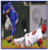 Top Players in MLB History