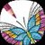 Butterfly Coloring Pages for Adults