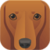 Dog Breeds App Quiz