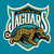 Jacksonville Jaguars Fan App