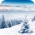 Snowfall 3D Live Wallpaper