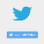 Twitter Authentication