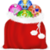 Xmas Bag