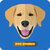 Dog Training Sounds