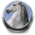 Horse Sounds app