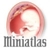 Miniatlas Pregnancy
