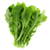 Benefits of Arugula