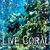 Coral Reef In the Deep Sea LWP free
