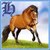 Amazing Horse Wallpapers Hd