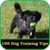 100 Dog Training Tips 2014