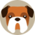 Help a Dog