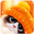Cat and Owl Live Wallpaper