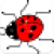 War Beetle Game