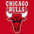 Chicago Bulls Fan